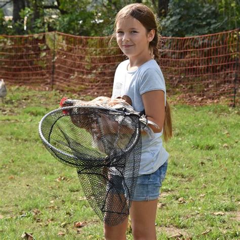 Épuisette de capture pour volailles Ø 36 cm