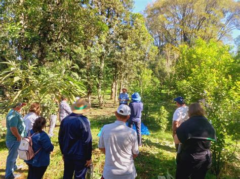 Agricultores De Ven Ncio Aires E Mato Leit O Participam De Interc Mbio