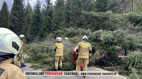 Bäume umgestürzt Preber Landesstraße Freiwilige Feuerwehr Tamsweg