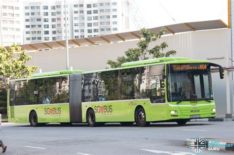 Bus 804 Sbs Transit Man A24 Smb8003a Land Transport Guru