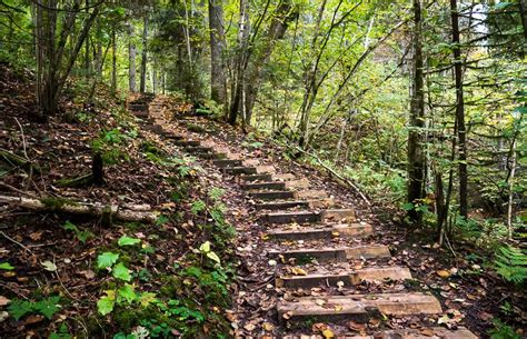 Sigulda: Top Destination for Autumn Foliage in Latvia