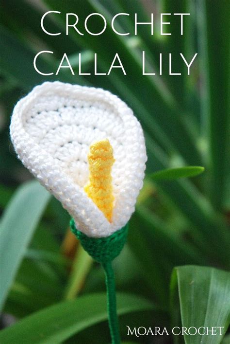 Crochet Calla Lily Free Crochet Flower Pattern Moara Crochet Crochet Flowers Free Pattern