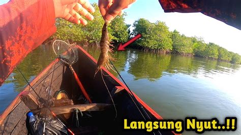 Langsung Disambar Ikan Mancing Di Spot Baru Umpan Udang Hidup Youtube