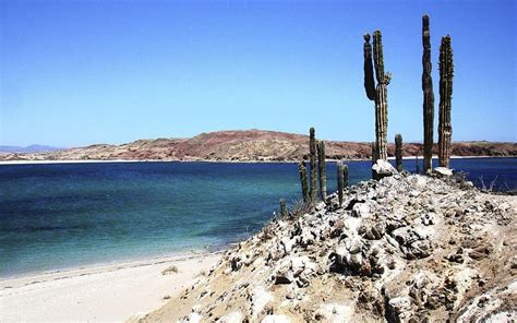 REVISTA MÉXICO DESCONOCIDO PRODUCE NUEVA GUÍA DE VIAJE DE BAJA baja