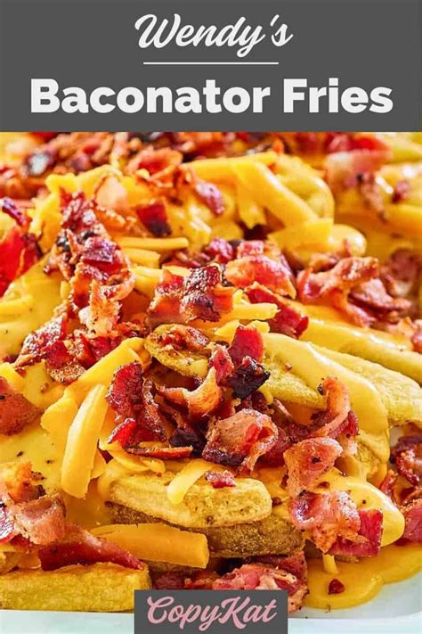 Wendy S Baconator Fries Copykat Recipes