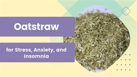 Oatstraw The Natural Remedy For Stress Anxiety And Insomnia Youtube