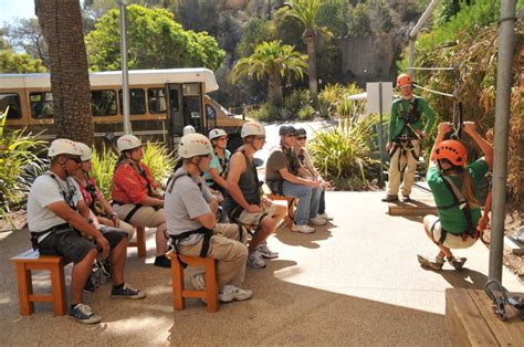 Everything you need to know to zipline on Catalina