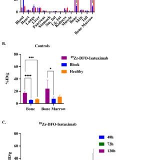 In Vivo Evaluation Of Zr Dfo Isatuximab In A Subcutaneous Model Of