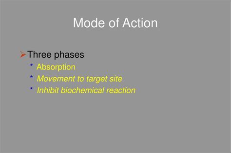 Ppt Turfgrass Herbicide Mode Of Action Powerpoint Presentation Free Download Id 1178028