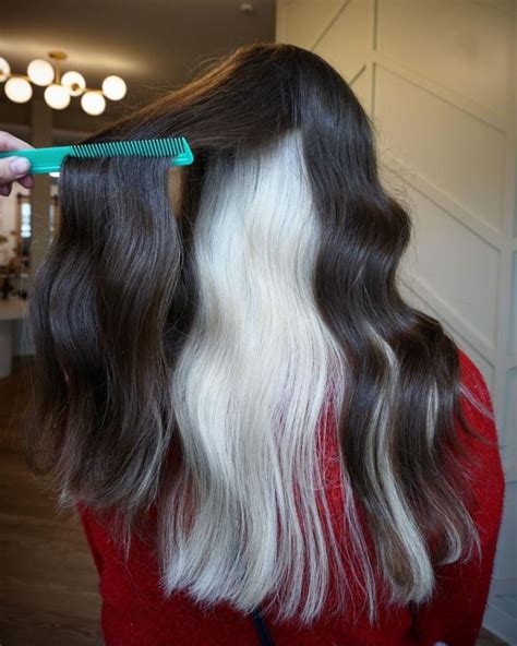 20 Juicy Underlayer Hair Color Ideas Youll Want To Try