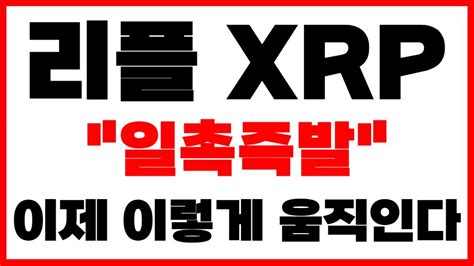 리플 Xrp 새벽 일촉즉발 이제 이렇게 움직인다 Youtube