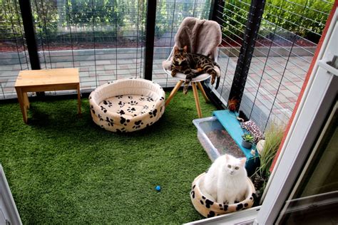 Spoil Your Cat: Make Them a DIY Catio – Furtropolis