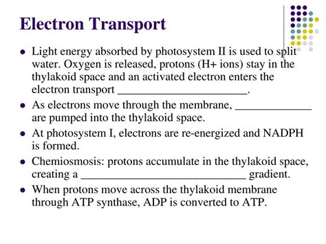 Ppt Chapter 8 Cellular Energy Powerpoint Presentation Free Download Id 6077582