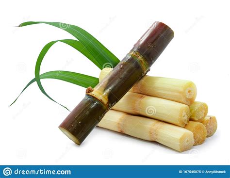 Sugar Cane Isolated On White Background Stock Image Image Of Sucrose