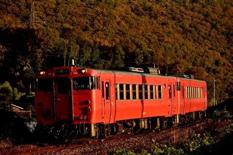 鉄道定番紀行 津山線の紅葉風景を行き交うキハ40とキハ47（牧山～玉柏）