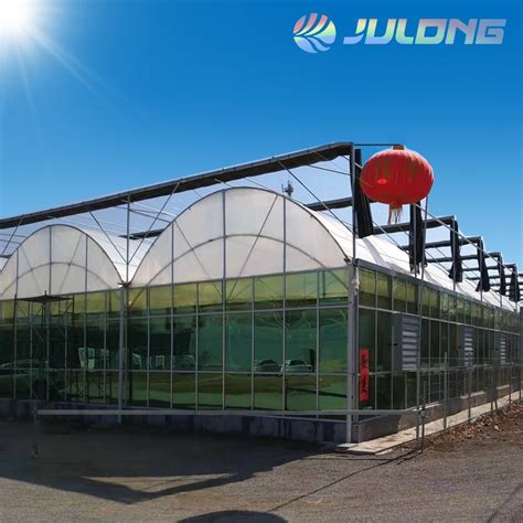 Agricultural Hot Dip Galvanized Steel Greenhouse China Greenhouse And