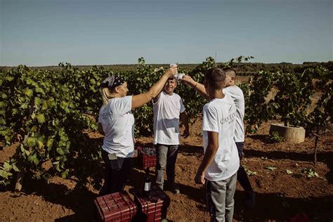 Passione di Puglia BIO Bianco IGT 14 Contessa Marina Weißwein Apulien