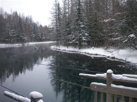 Palms Brook State Park Kitch A Ti Kipi Clear Springs Upper Peninsula Michigan Great Places