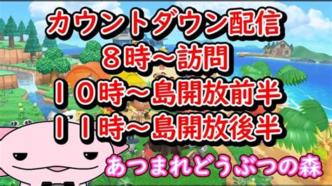 【あつ森】大晦日カウントダウン配信！！参加型配信は10時から！！あつまれどうぶつの森実況 初見さん大歓迎！！ あつ森 動画まとめ