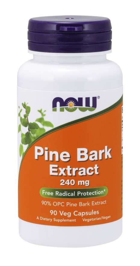 Now Foods Pine Bark Extract Ekstrakt Z Kory Sosny Kaps Gymshop