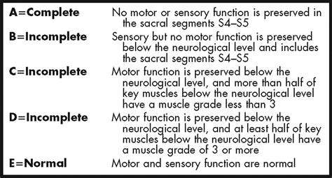 Spinal Cord Injuries Spine Orthobullets