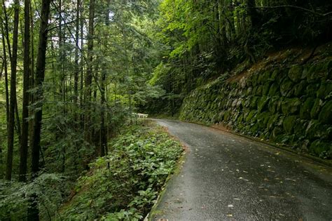 Premium Photo Walking The Hiking Road Following The Nakasendo Trail