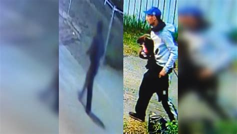 Delwood Arsons Edmonton Police Looking For Suspect Citynews Edmonton