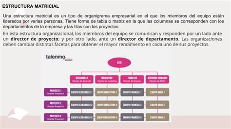 Dise O Organizativo Empresarial Para La Toma De Decisiones Ppt