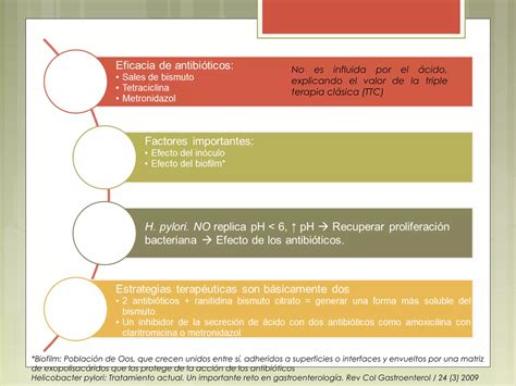 Helicobacter Pylori Y Ca Gastrico Ppt