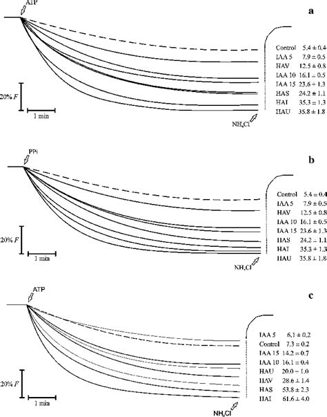 a–c Proton gradient formation by vacuolar H + -ATPase (a), H + -PPase ...