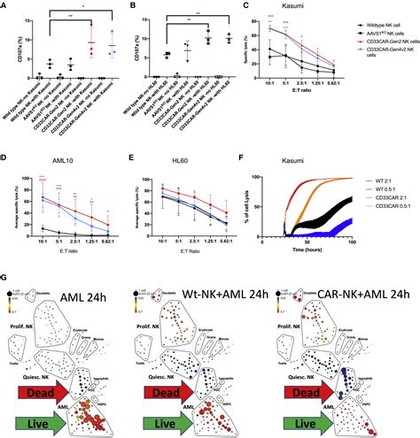 Optimization And Validation Of Car Transduction Into Human Primary Nk Cells Using Crispr And Aav