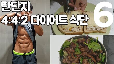 탄단지 442 다이어트 하루식단 6cutting Diet Meal By Meal Youtube