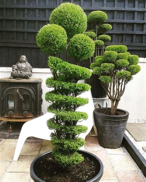 23 Bonsai Landscape Ideas Garden Design