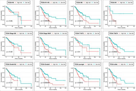 Km Analysis Of High And Low Risk Groups In Relation To The Tcga