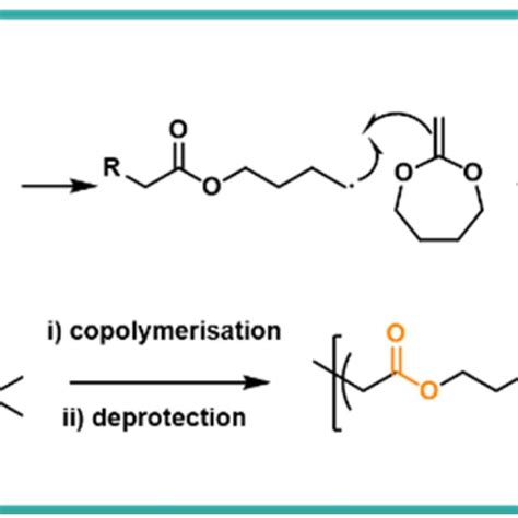 A Schemetatic Mechanism Of The Homolytic Ring Opening Polymerisation