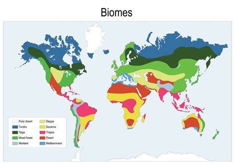 Exploring Beautiful Biomes Of The World Centre Of Excellence