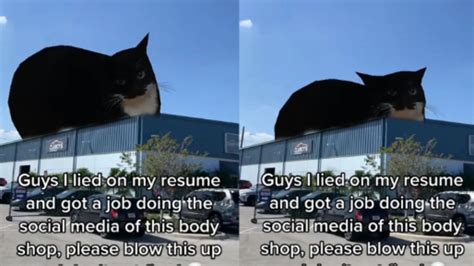 How A Cat Meme Caused Clancys Auto Body Shop To Go Viral Indy100