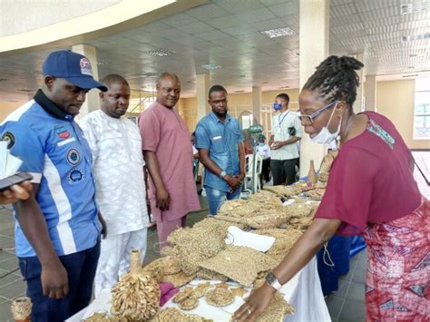 Laswa Trains Residents On Water Hyacinth Recycling Naturenews Africa