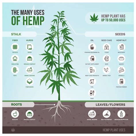 Why Is Hemp Sustainable Voyager CBD