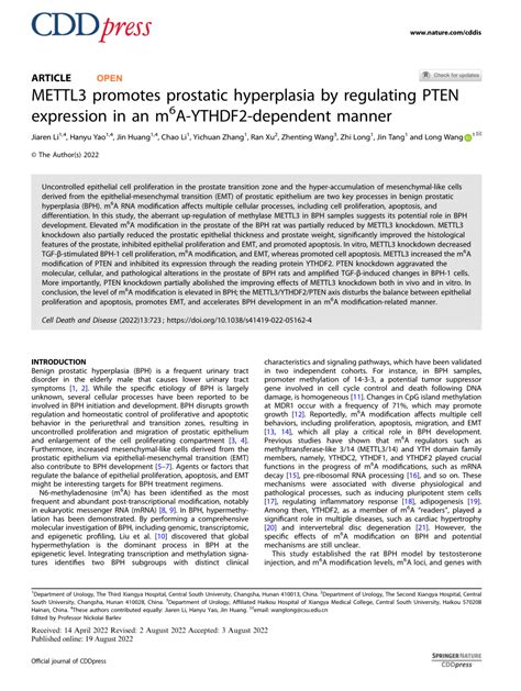 Pdf Mettl Promotes Prostatic Hyperplasia By Regulating Pten