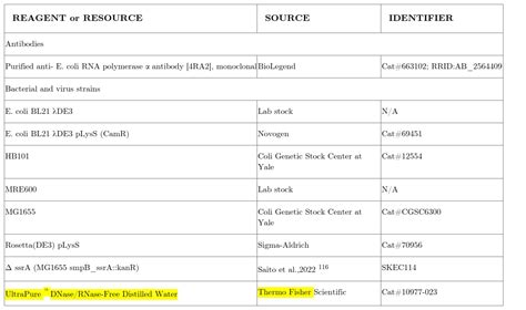 Ultrapure Dnase Rnase Free Distilled Water Thermo Fisher Bioz