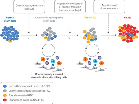 Advances In Acute Myeloid Leukemia The Bmj