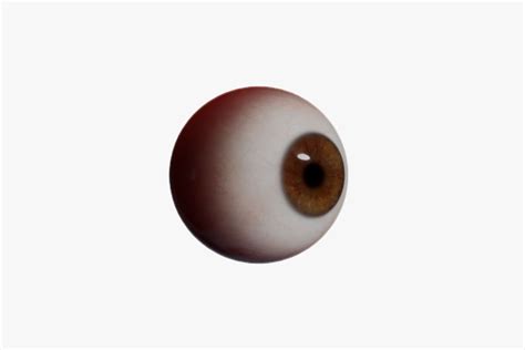 Realistic Human Eye D Model Blend Fbx Obj Free D