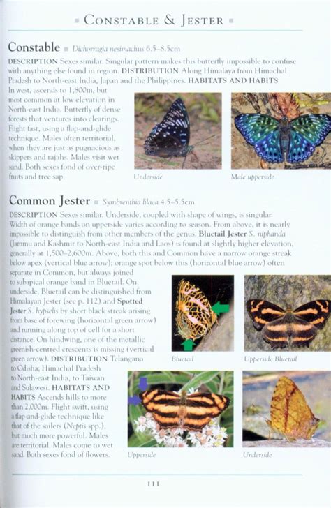 A Naturalist S Guide To The Butterflies Of India Pakistan Nepal