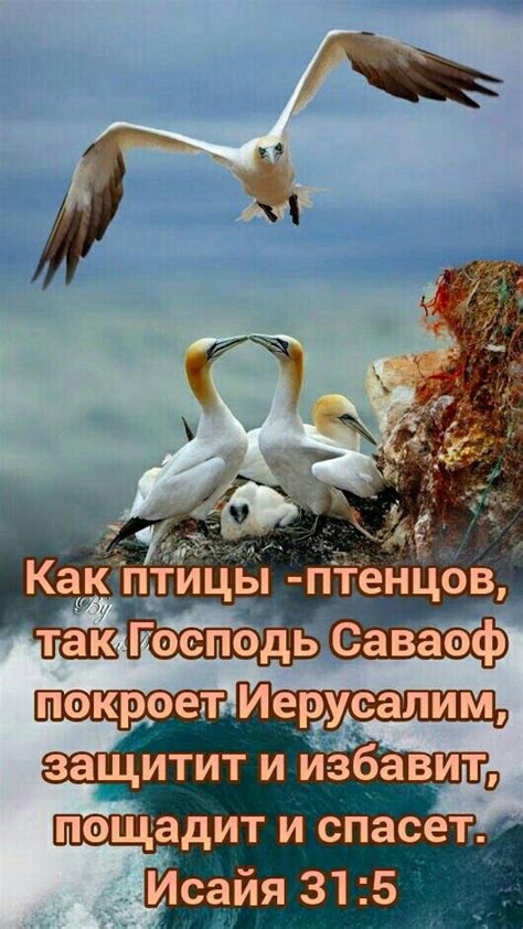 Pin on А кому открытки? Сделаю любые | Movie posters, Poster, Movies