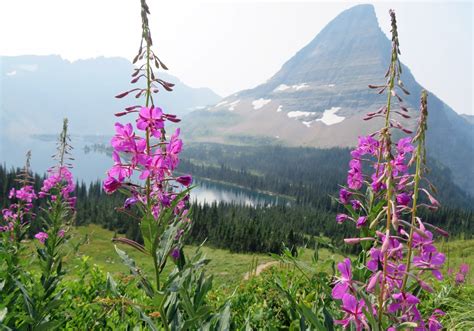 Hiking Hidden Lake in Glacier National Park: Tips, Details, Photos ...