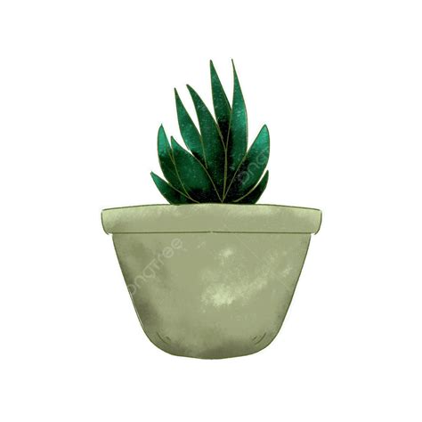 Una Planta Verde En Maceta Png Planta Maceta Pegatina Png Y Psd Images