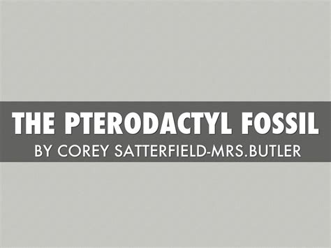 Pterodactyl Fossils by jkathleenrobinson