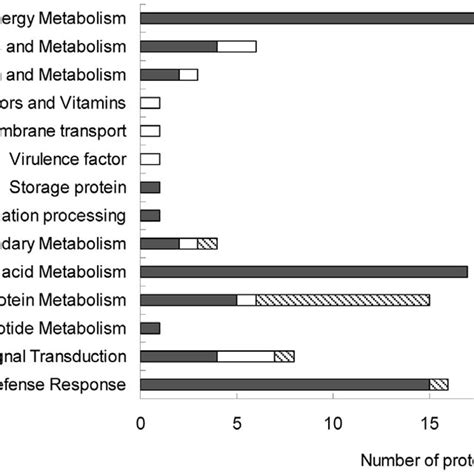 Functional Classification Of Identified Proteins Identified Proteins