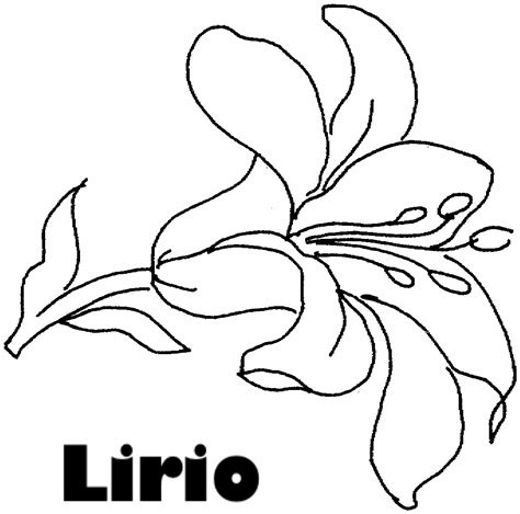 Dibujos Para Imprimir Y Colorear Lirios Para Colorear